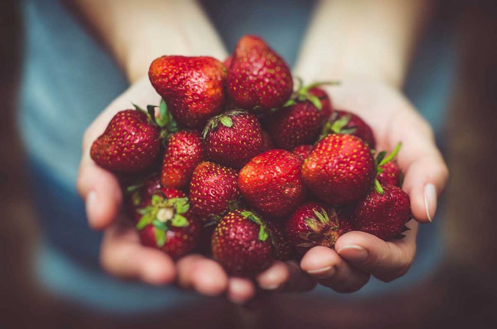 le bacche supportano un sistema immunitario sano