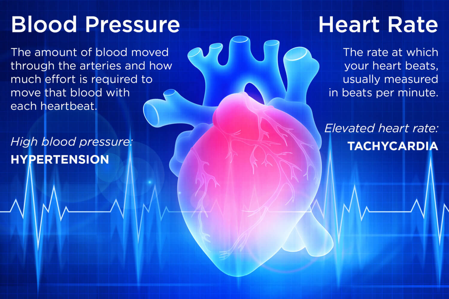 Descrizioni della pressione sanguigna e della frequenza cardiaca su un'immagine radiografica colorata di un cuore con linee ECG dietro di esso